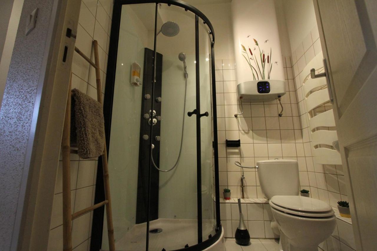 "Appartement Au Centre & Parking" Logement Petite Venise Colmar Kültér fotó