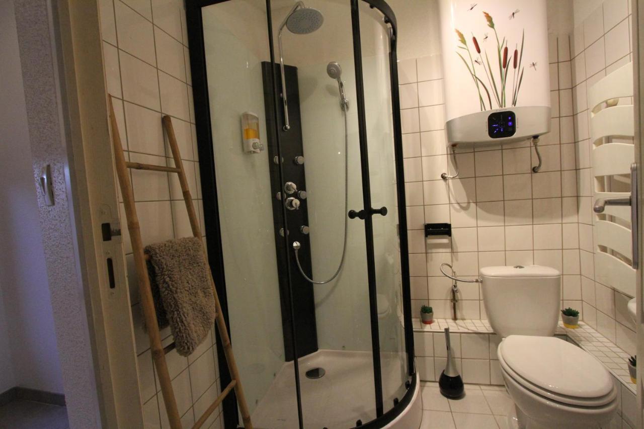 "Appartement Au Centre & Parking" Logement Petite Venise Colmar Kültér fotó
