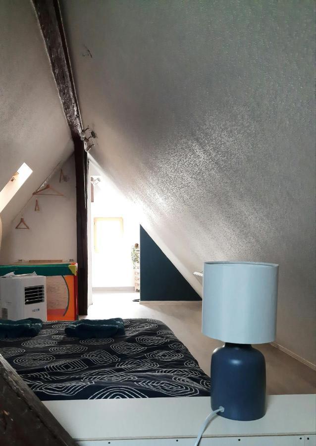 "Appartement Au Centre & Parking" Logement Petite Venise Colmar Kültér fotó